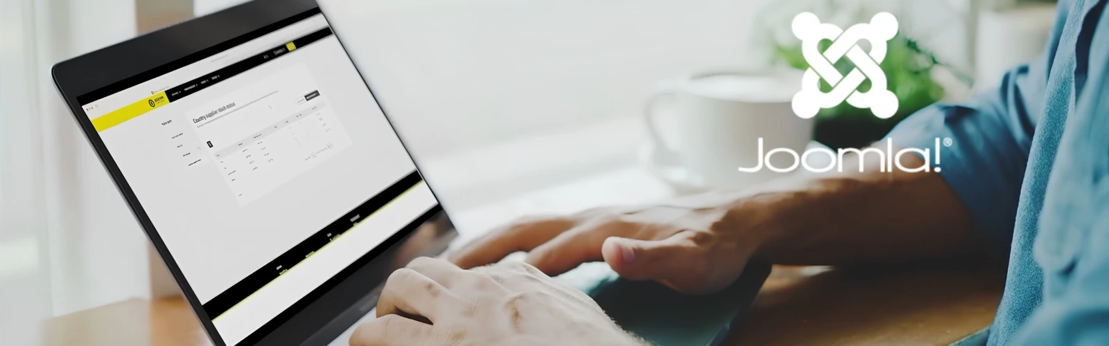 Joomla Customer Portal Development