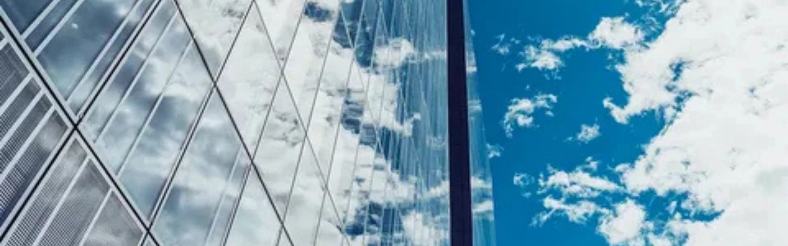 Advanced Social Engineering Campaign for a Fortune 500 Financial Giant