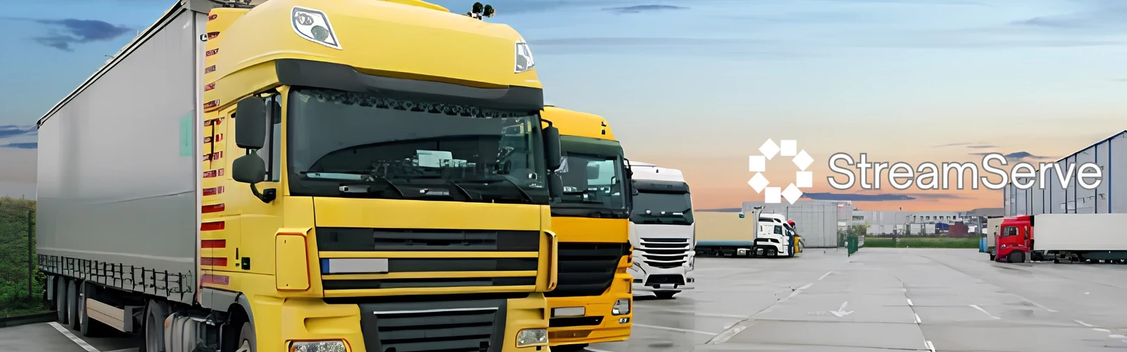 Development of StreamServe Document Management Software for a Wholesale Company