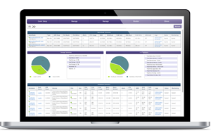 Big data services