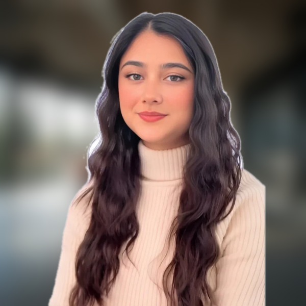 Naseema — Insurance IT Consultant and Lead Business Analyst at INNERLUXES